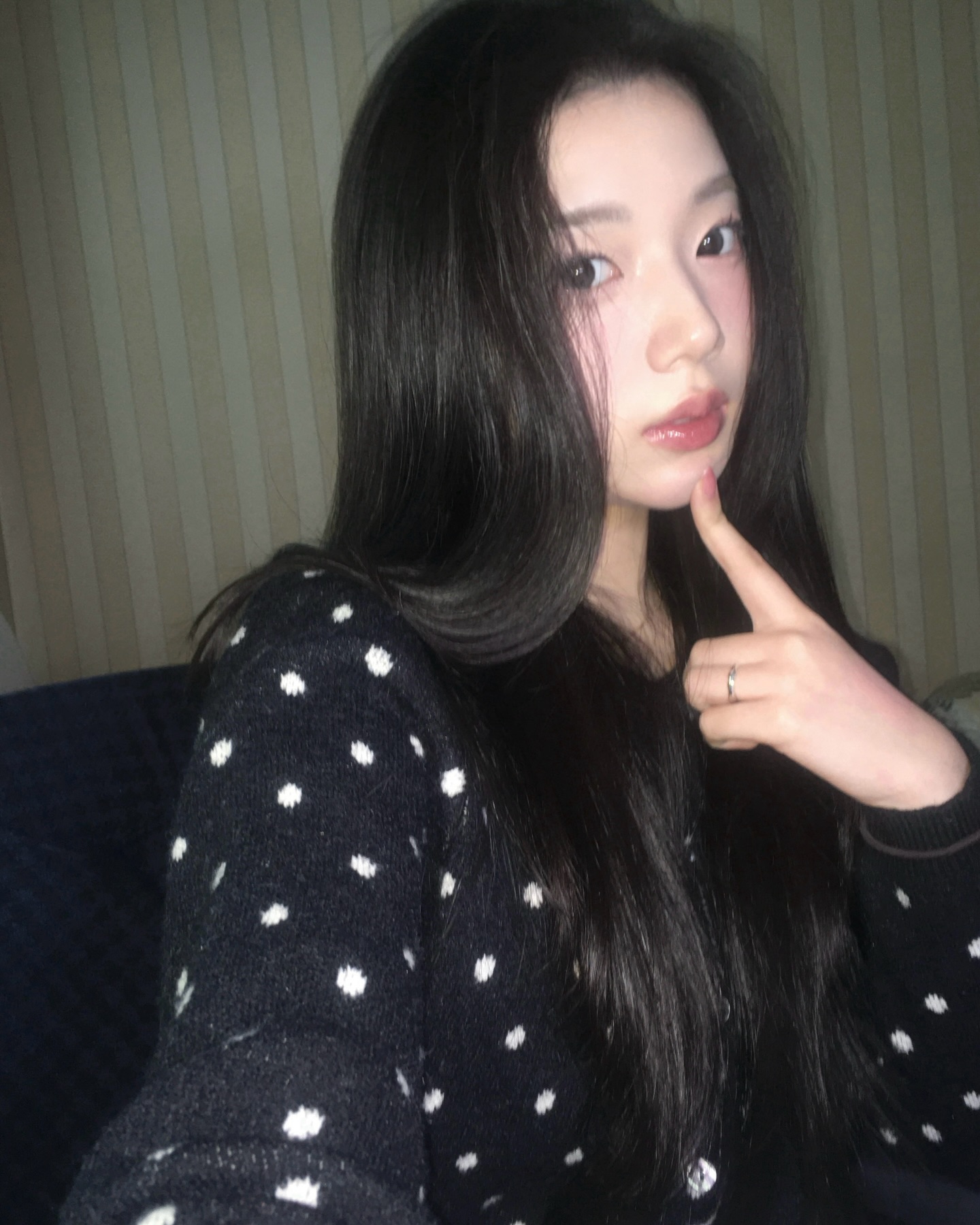 바다솔 사진